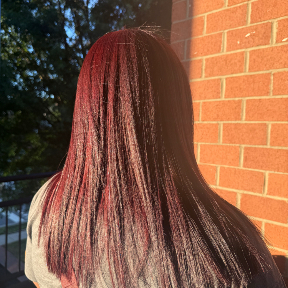 All Over Color at JL Hair Studio in Davidson, NC