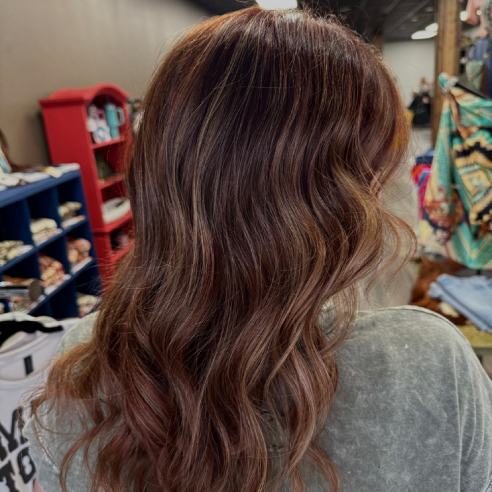Full Highlights Lowlights & Roots at Desert Rose Beauty Co in Friendswood, TX