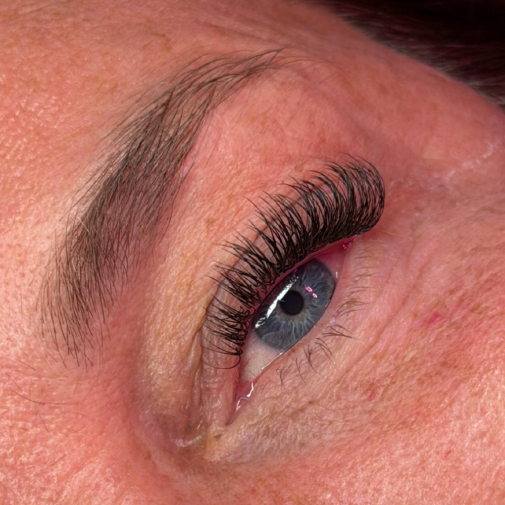 Classic at Trailblazer Beauty in Shelby Township, MI