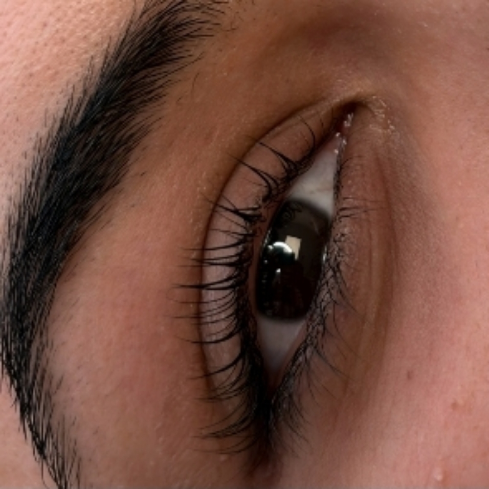 Lash Lift & Tint at Fleek Beauty in Reading, PA