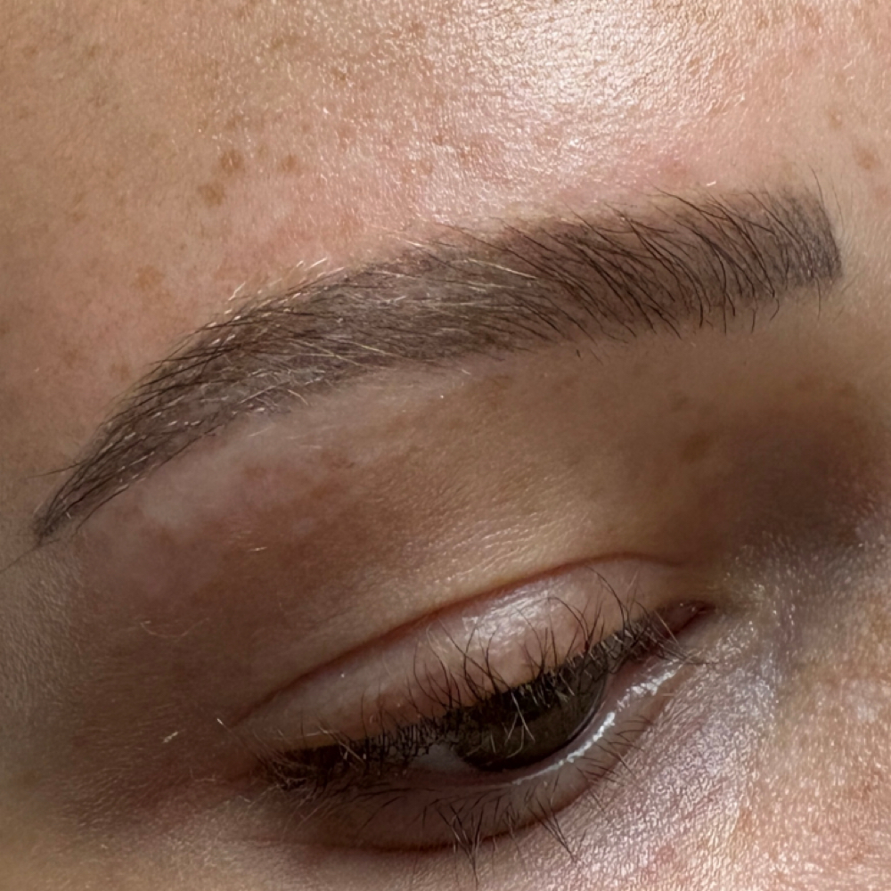 Brow Lamination + Tint at Full Bloom Salon in Slaughter, LA