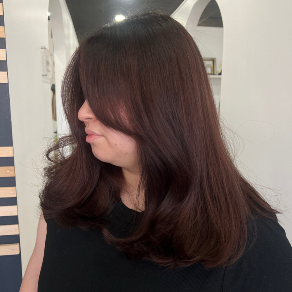 Gloss at BridgetteVasquezHair in Sherman Oaks, CA