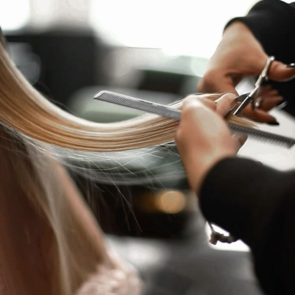 Womens Haircut at Buckwild Beauty | Backwoods Hair in Morristown, TN
