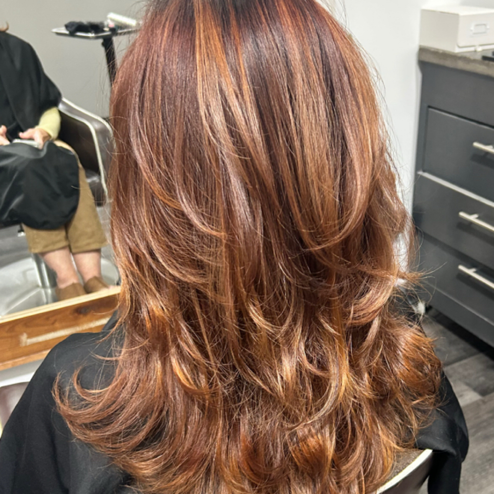 New Look Color And Cut at Colorize Hair Studio in Gluckstadt, MS