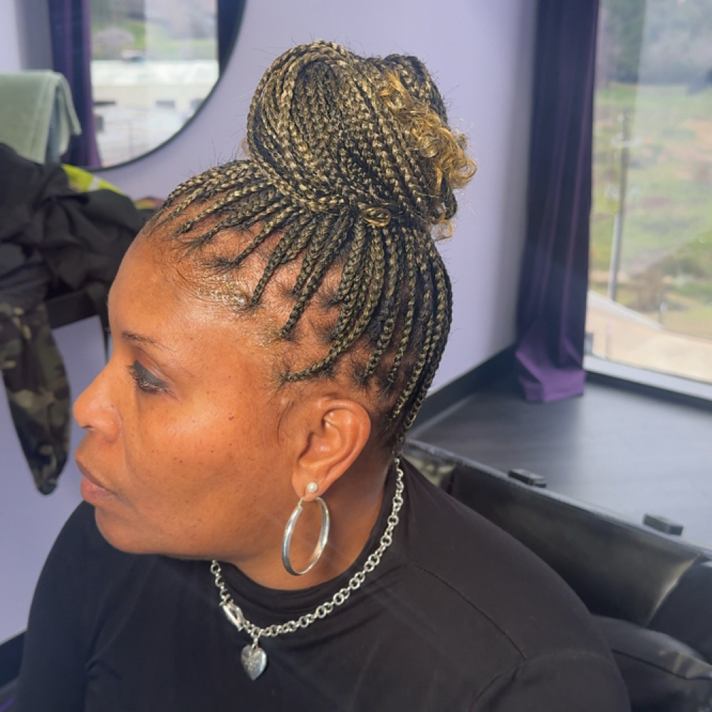 Bun Only Braids at House of Belle in Houston, TX