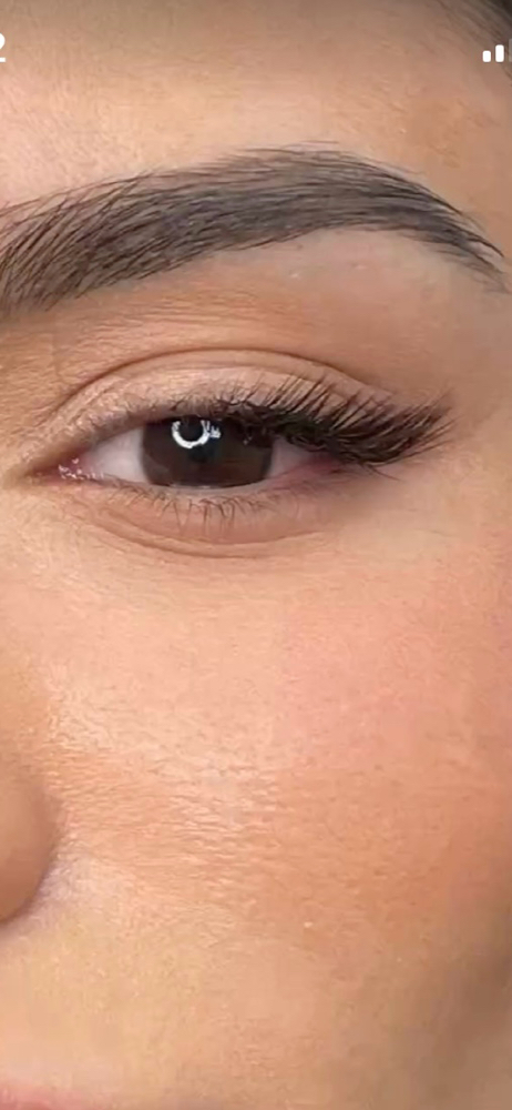 Set Of โhalf Lashesโ (full Set)