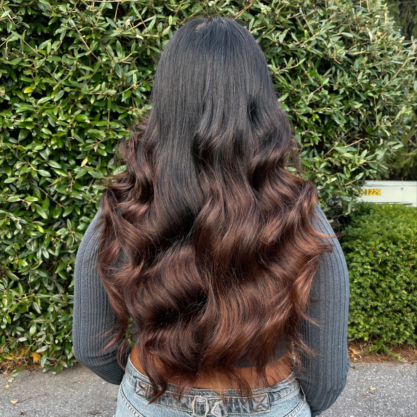 Toner Refresh at Ashtrologic Hair in Frederick, MD
