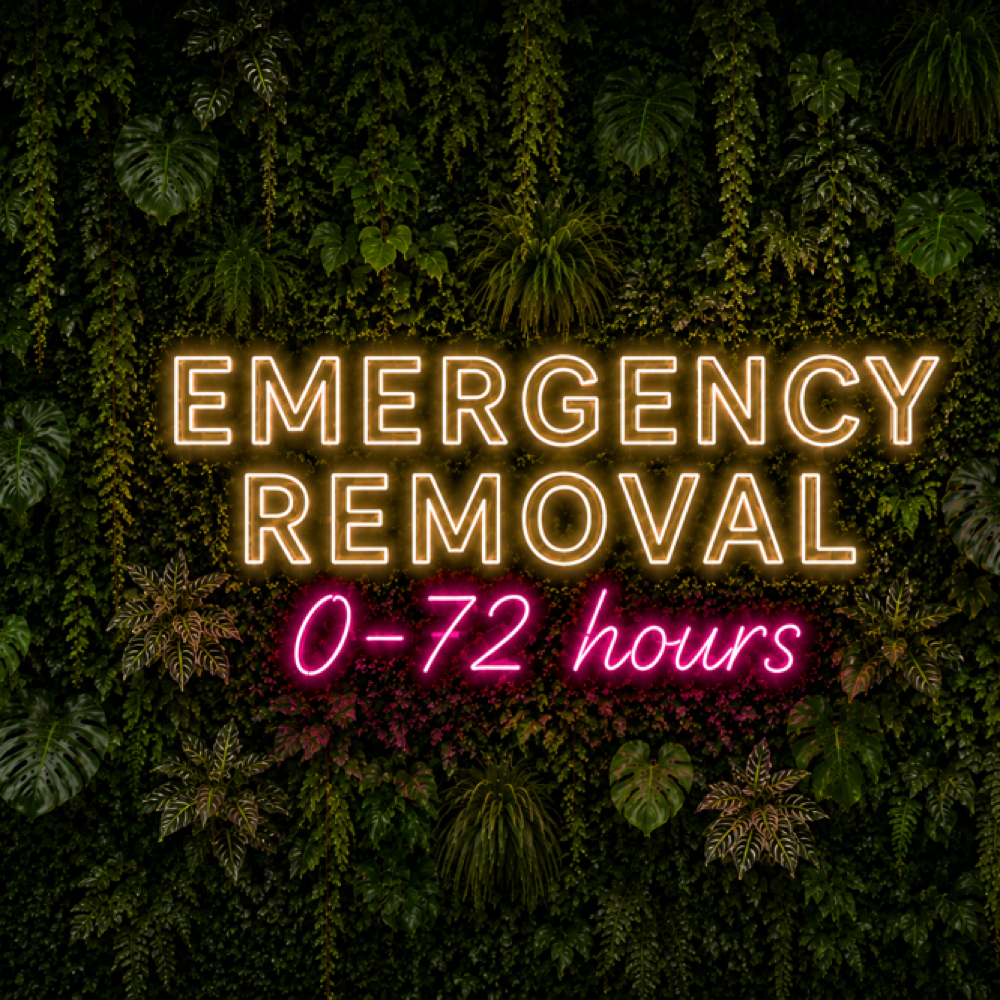 Emergency Chemical/Saline Removal at The Brow Babes in LOUISVILLE, KY