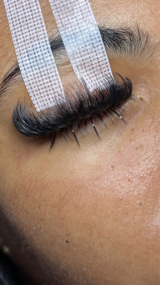 Bottom Lashes