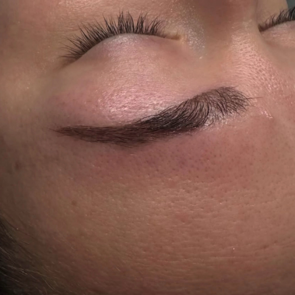 Special: Brow Tint + Wax at Beauty by Daniella in Fuquay Varina, NC