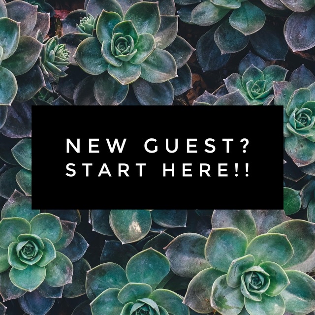 New  Haircolor Guest Consultation