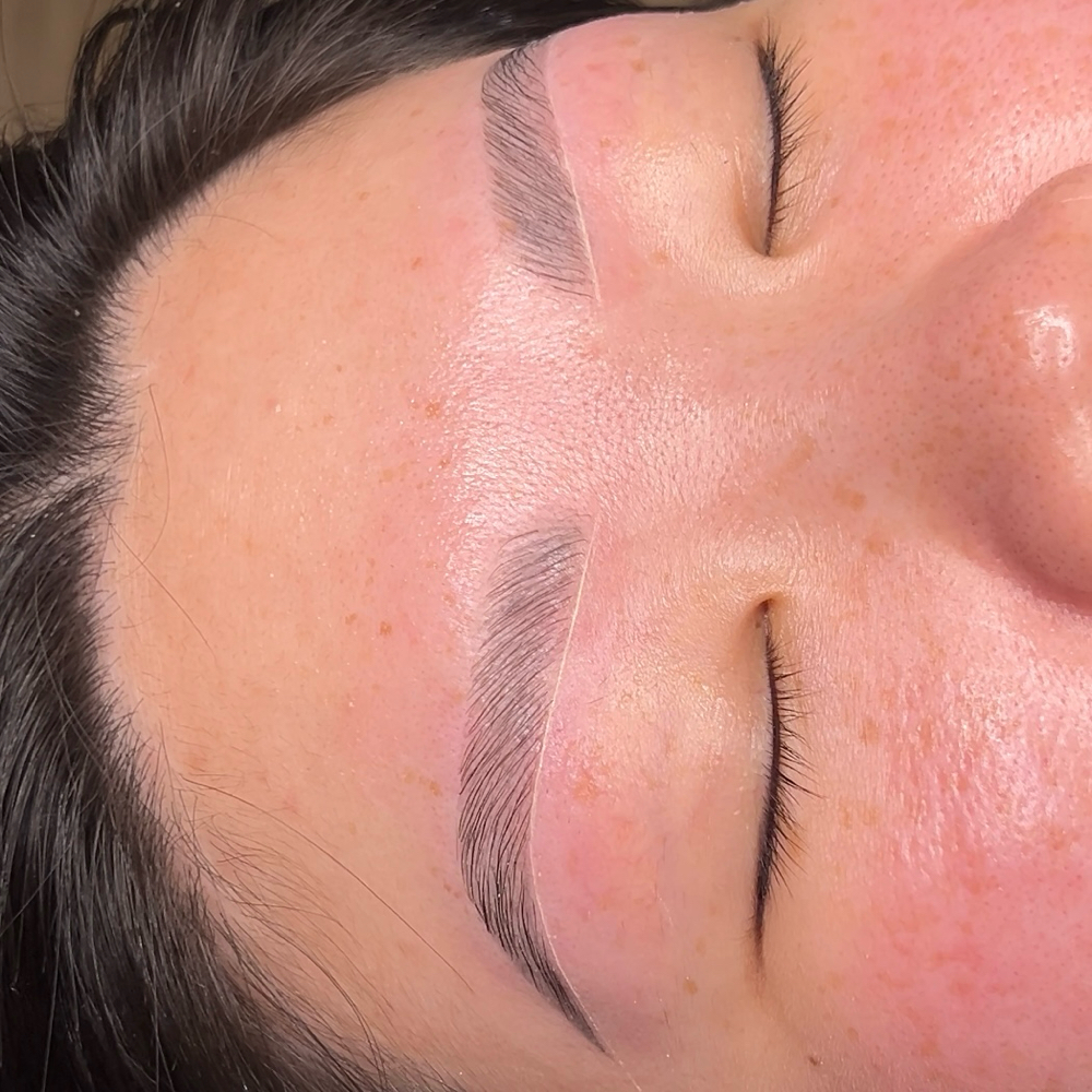 Brow Lami + Wax + Mapping
