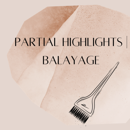 Partial Highlights | Balayage