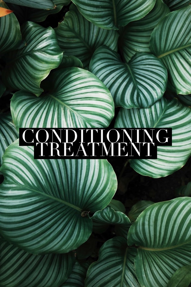 Luxury Conditioning Treatment