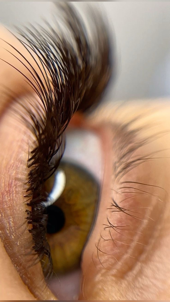 Classic Lash Refill ( 3 Weeks )