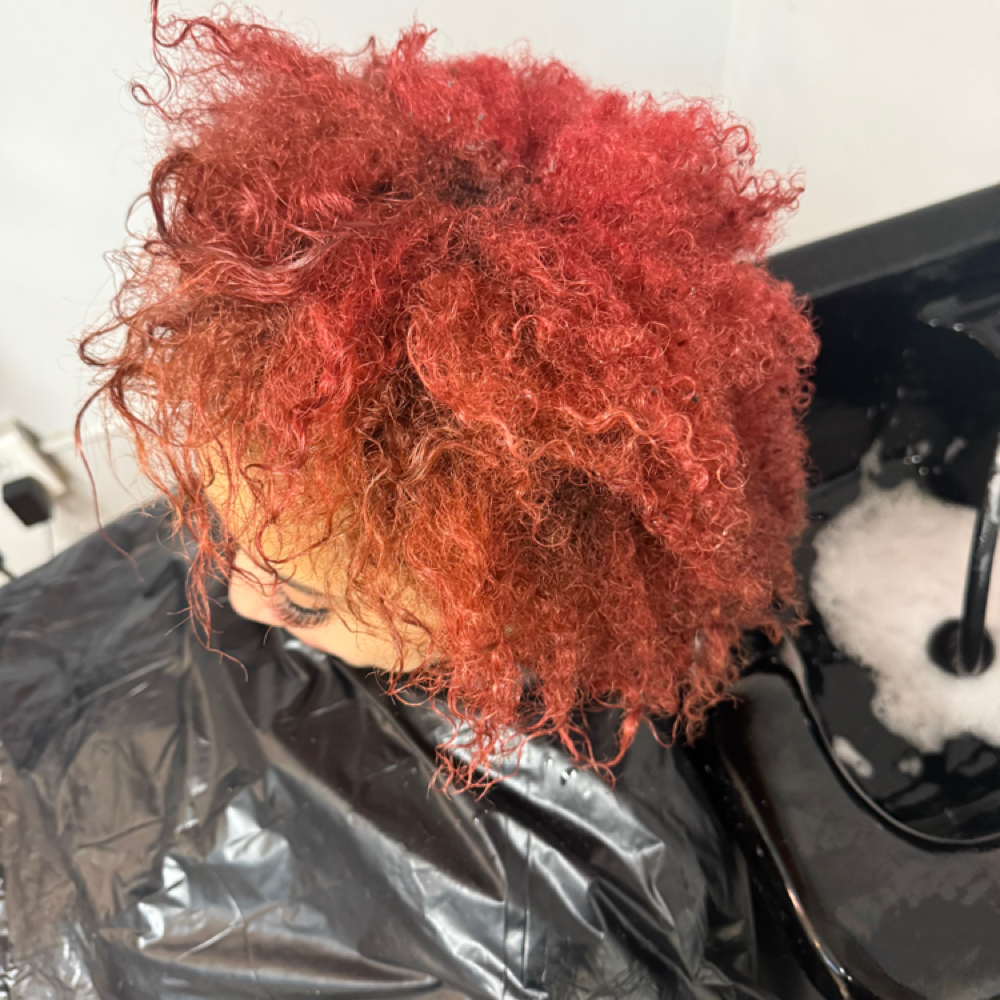 Shampoo Only at Chiffon’s Hair Suite in Lansing, MI