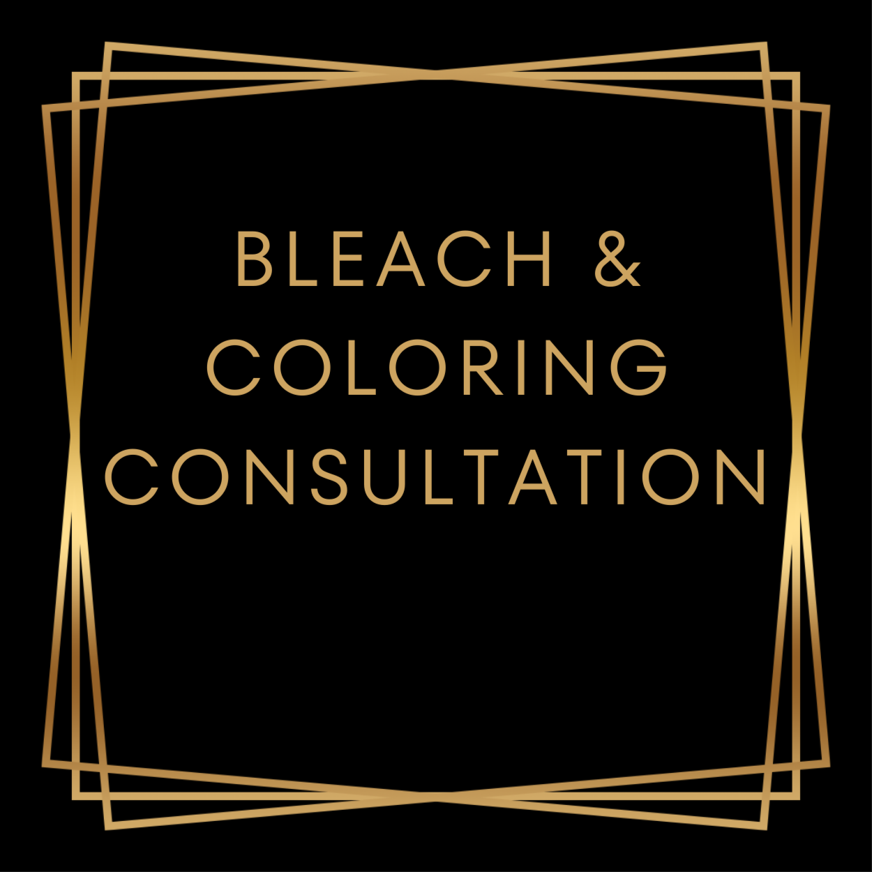 Bleach & Coloring Consultation at Hair By Sable Marie Studio in Saint Clair Shores, MI