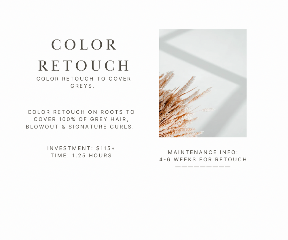 Root Retouch + Blowout