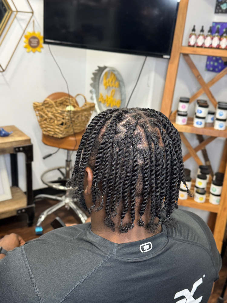 Two Strand Twist Style (Partial)