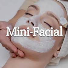 Mini Facial