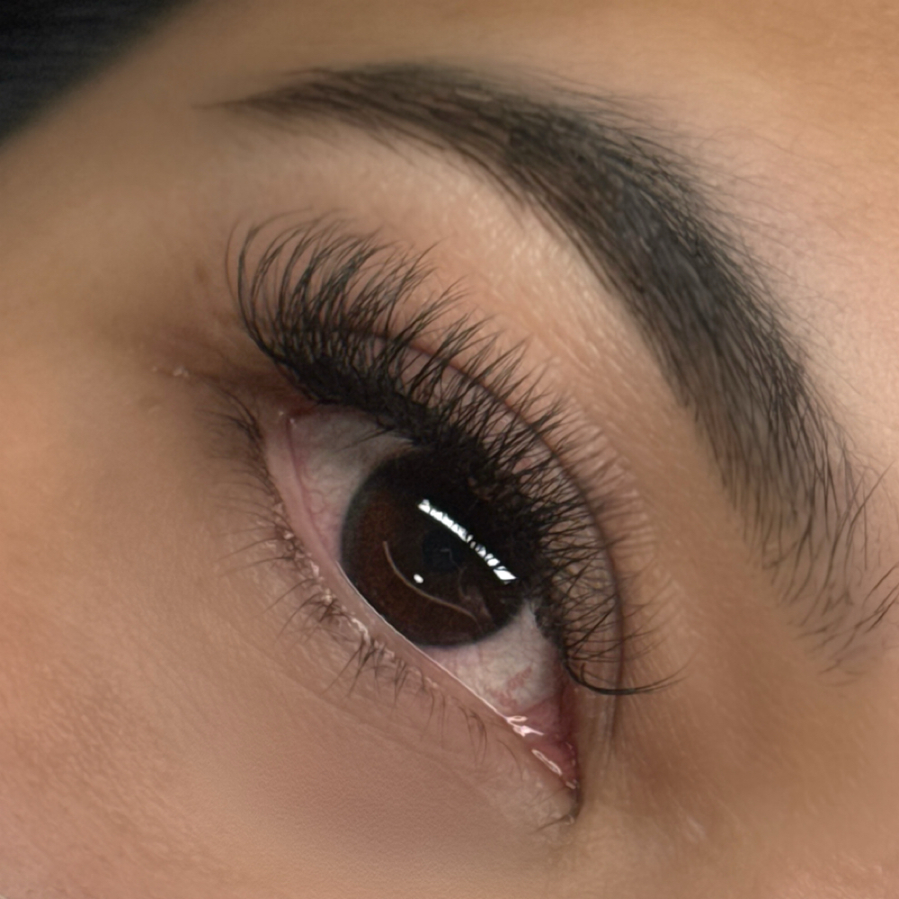 hybrid at flutterxfer in Spring Valley, CA