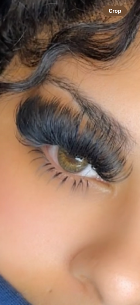 Bottom Lashes