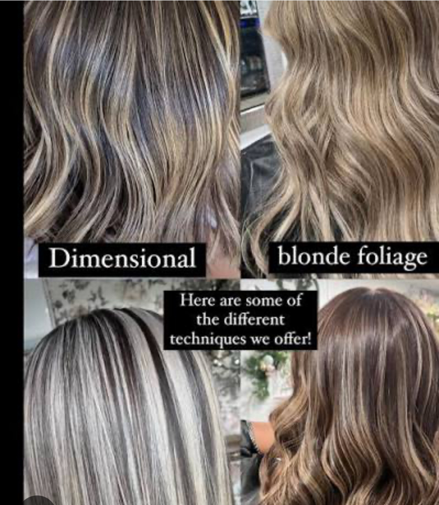 Partial Highlight Basic Head S at Devi Studio in Surprise, AZ