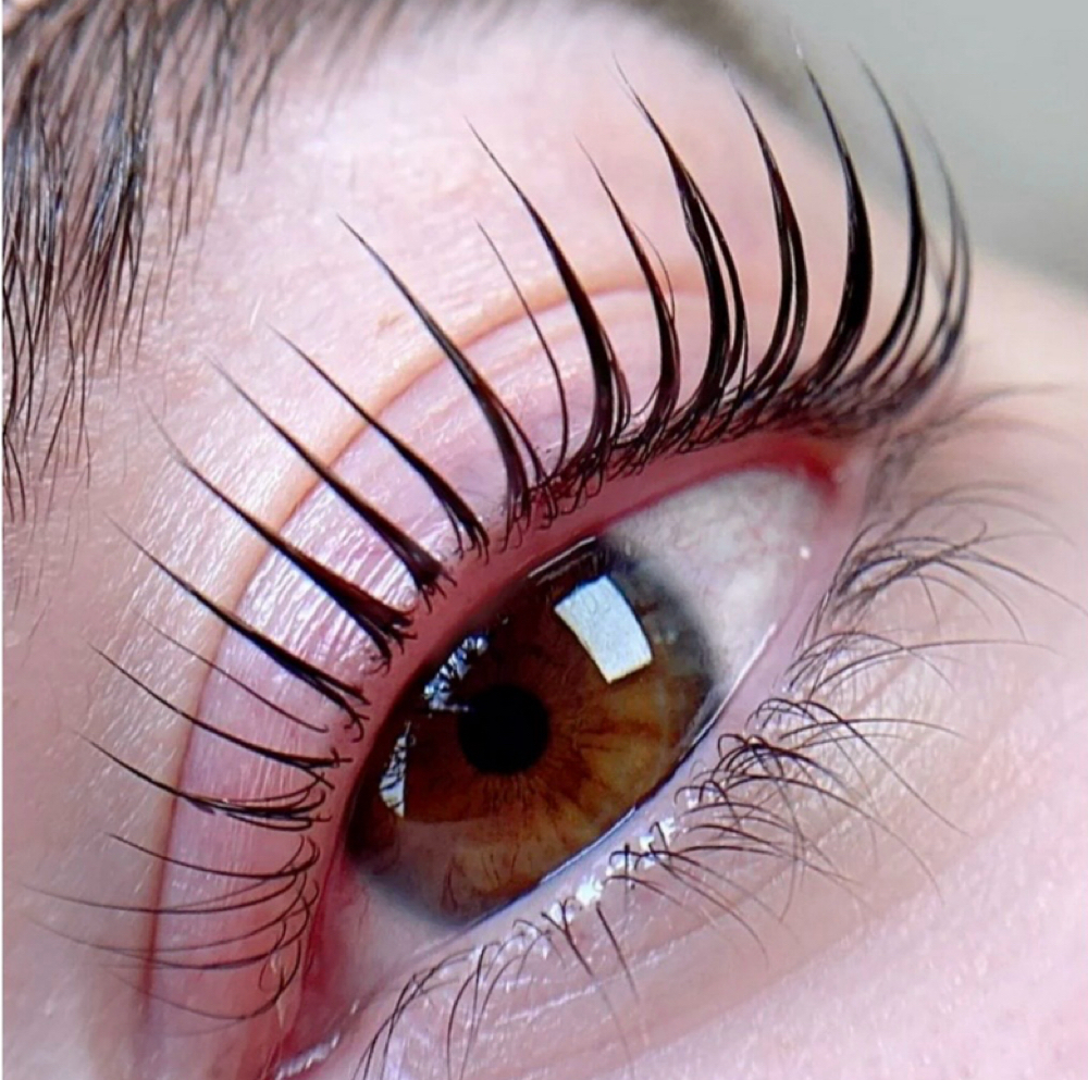 Korean Lash Lift/ Lash Tinit at Gardenias Beauty Salon in North Charleston, SC