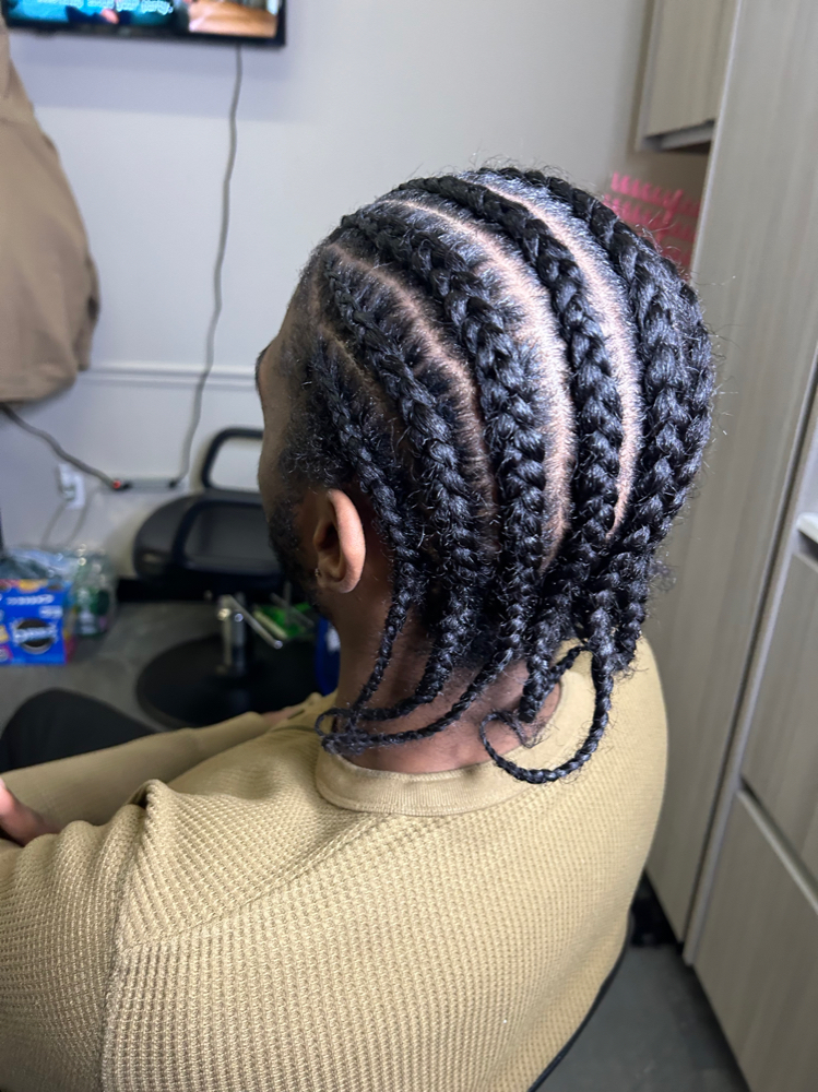 Mens Braids
