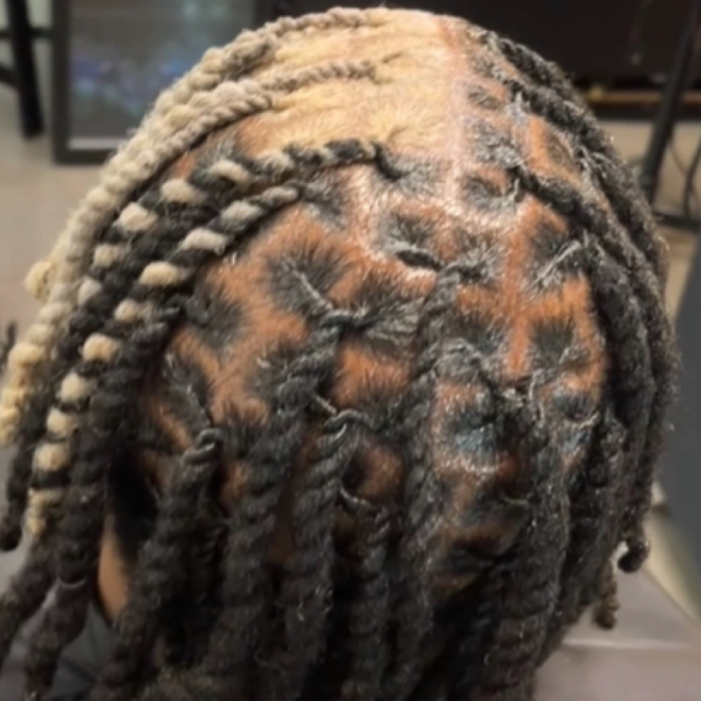 Loc Retwist With 2 Strand Stwist at Bri Can Do All Things in Colorado Springs, CO