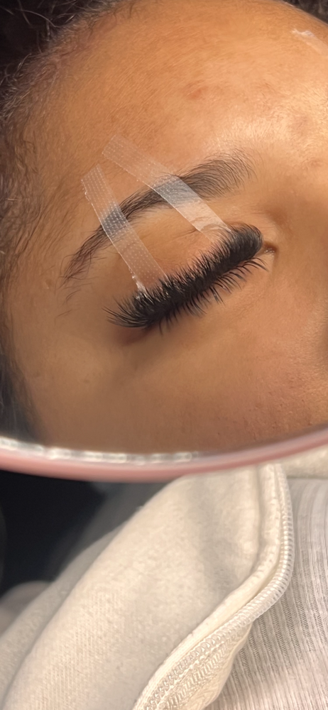 Bottom Lashes