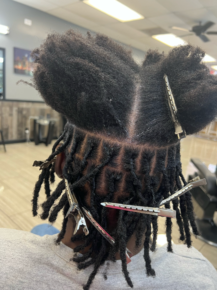 Instant Locs (whole Head)