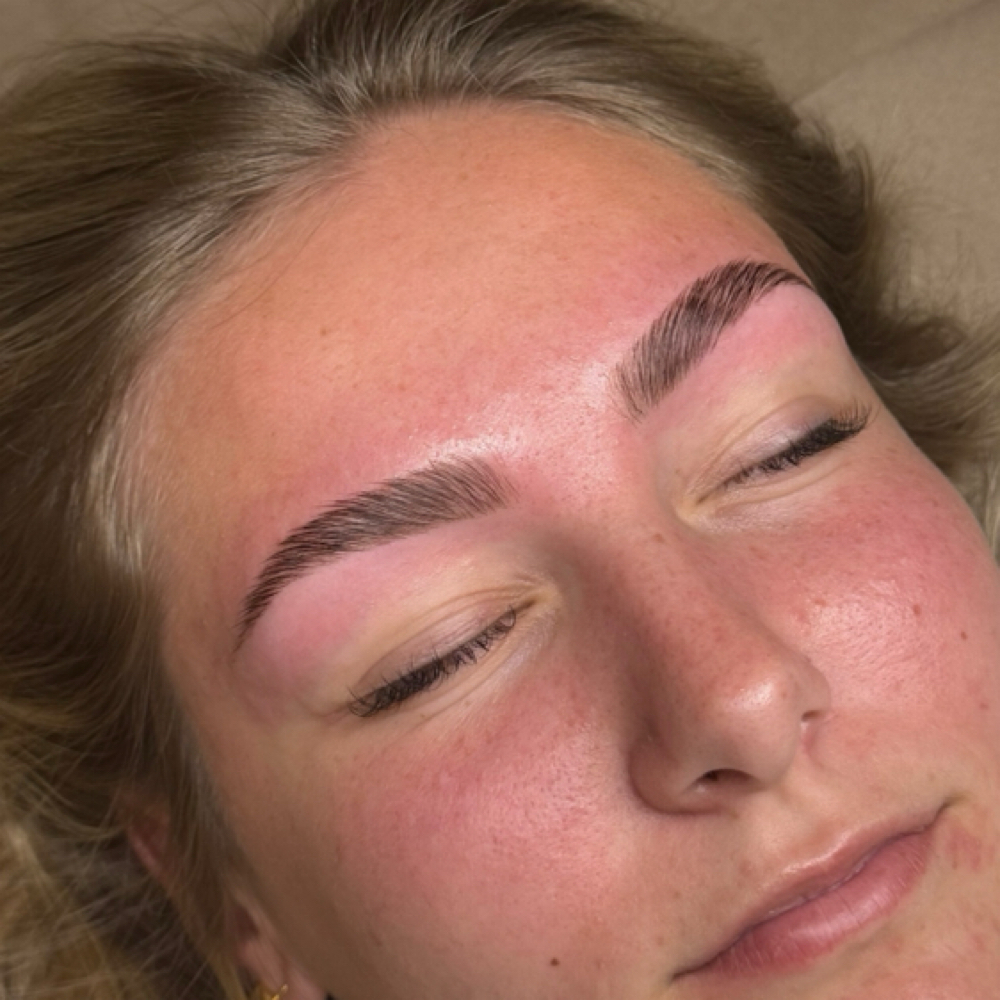 OG Brow Trio at Lavish By Lily in Greenwood, AR