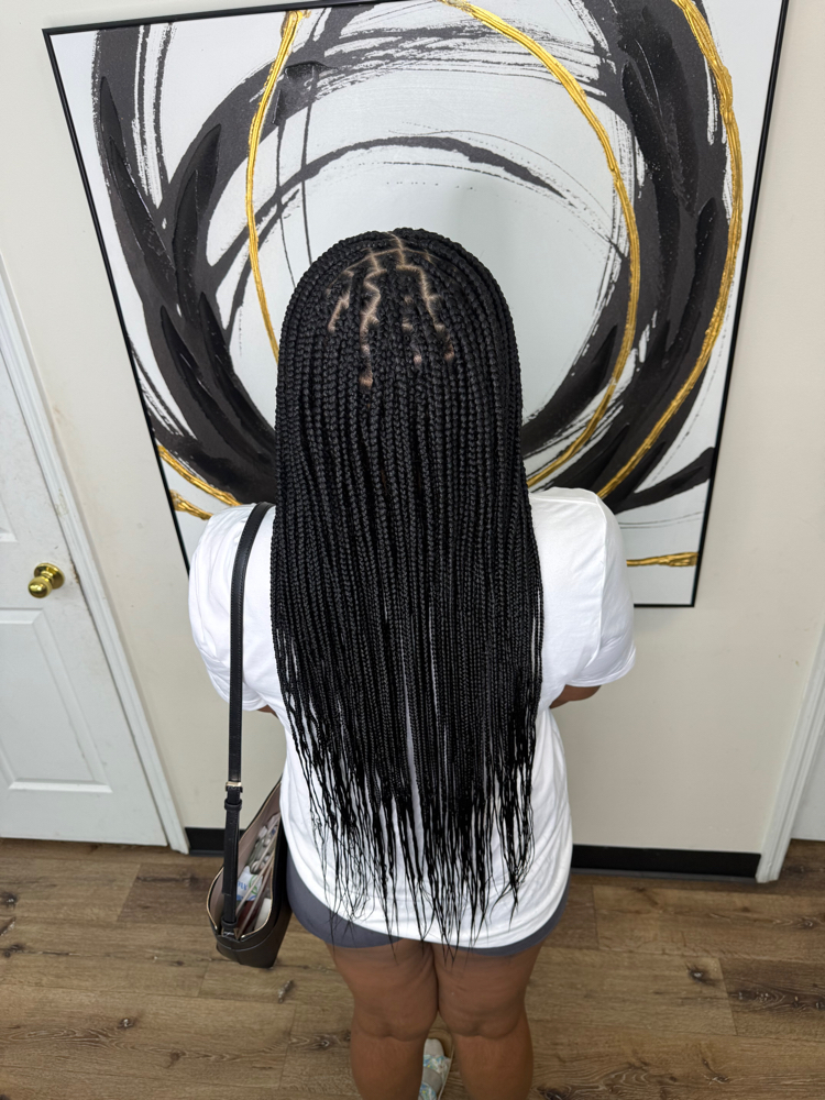 Regular Boxbraids