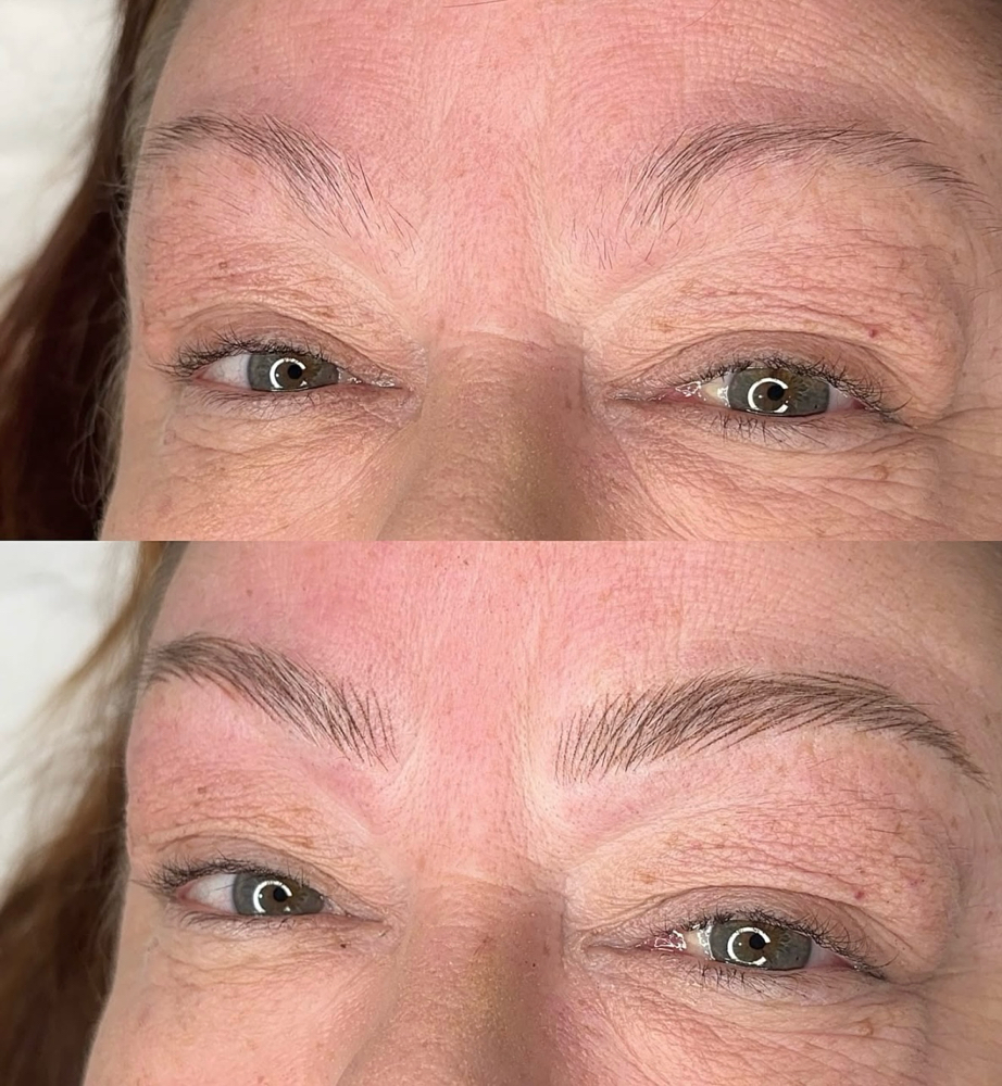 Microblading + Shading Combo – $399