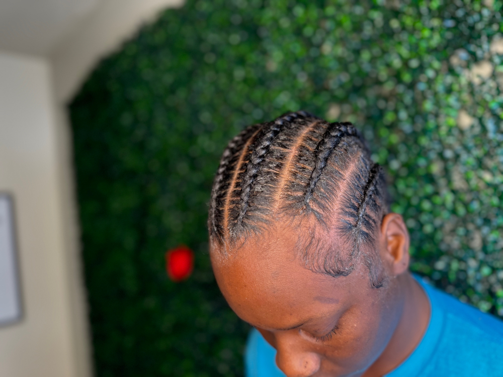 Feed In: 4-6 Braids