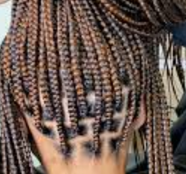 Medium Knotless Box Braids ( Waist)