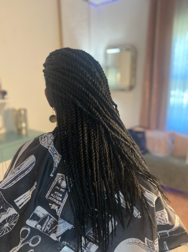 16” Cuban Twisted  Sides & Back Sha