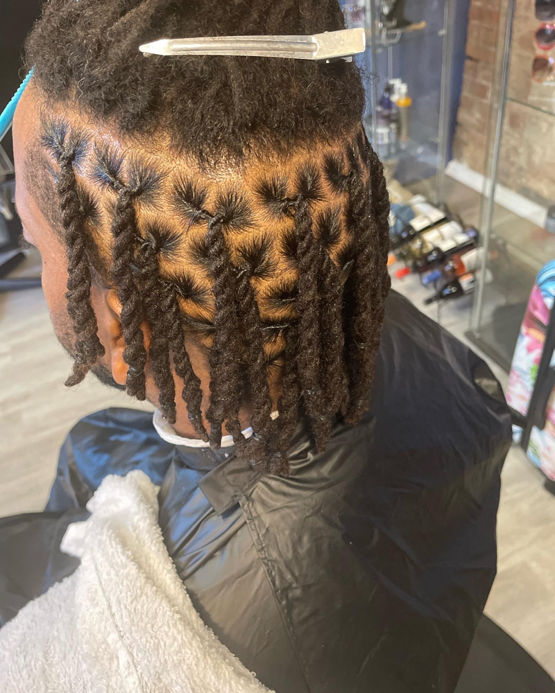 Loc 2strand Twist