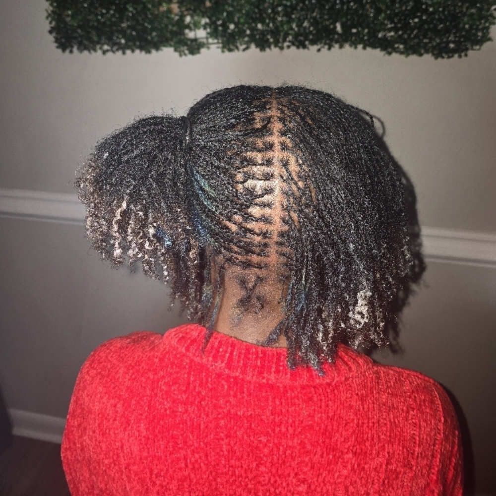 Microlocs at Nappe Locs in Fayetteville, NC