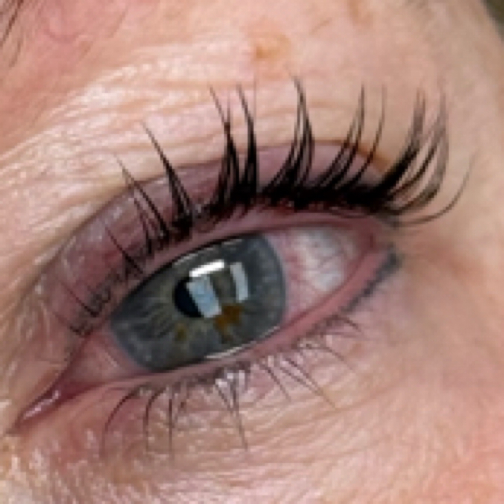 Lash Tint Only at The Nail Hub in Uniontown, PA