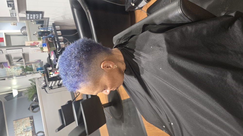 Clipper Cut