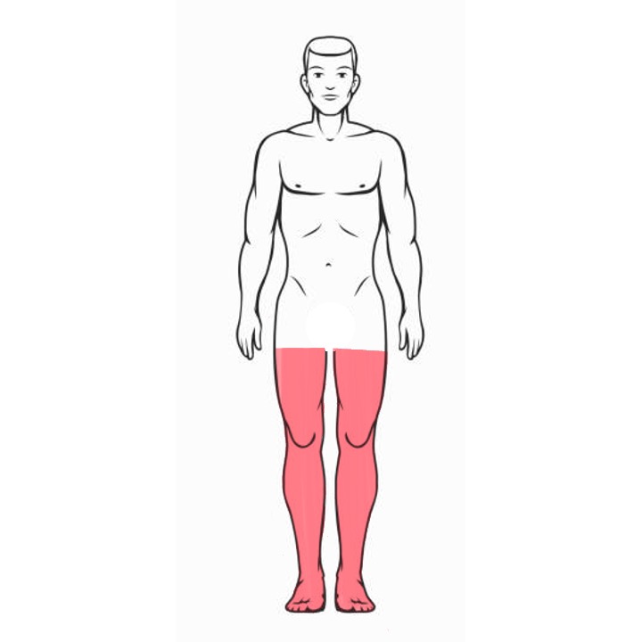 Full Legs