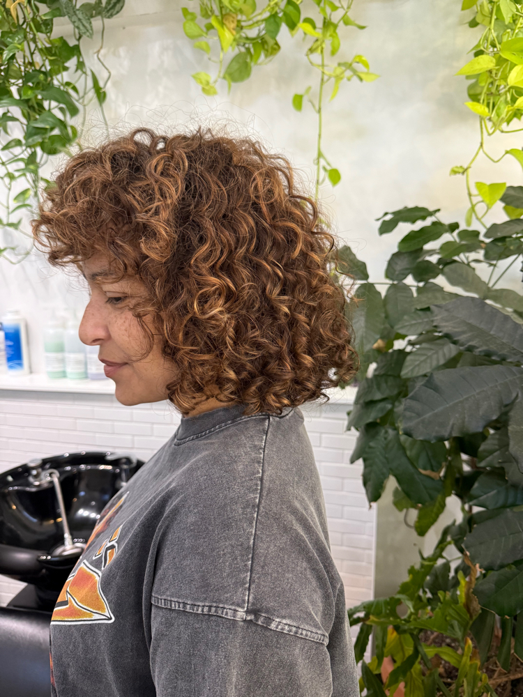 Curly Womens Haircut