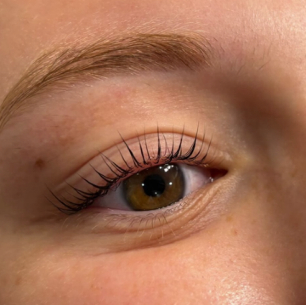 Lash Lift & Tint at Royal Esthetics in Kearney, NE