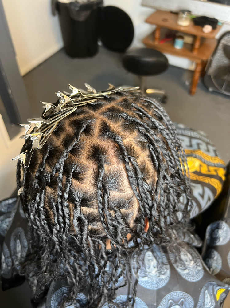 Starter Locs 2 Strand Twist