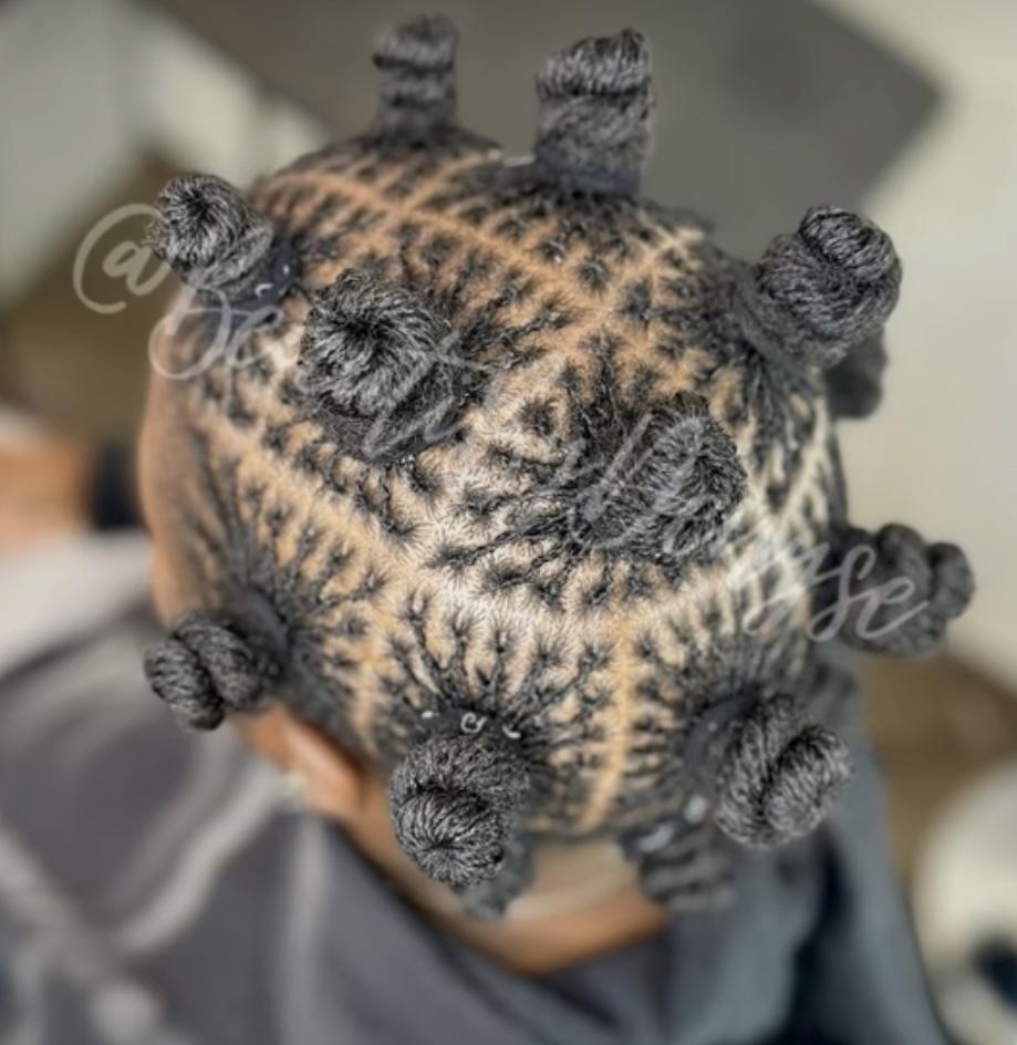Starter Sister Locs Interloc Method