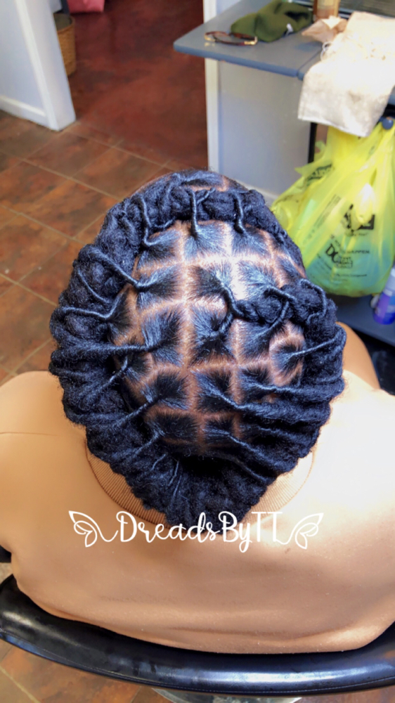 Shampoo, Retwist & Basic Style