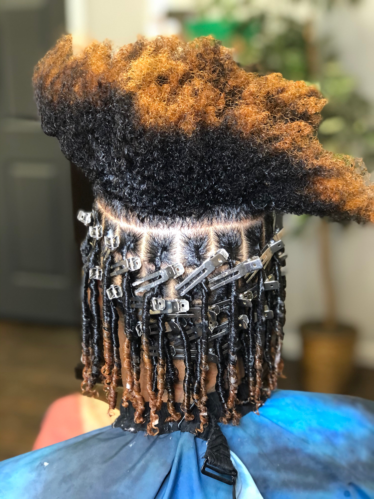 Shampoo & Starter Locs