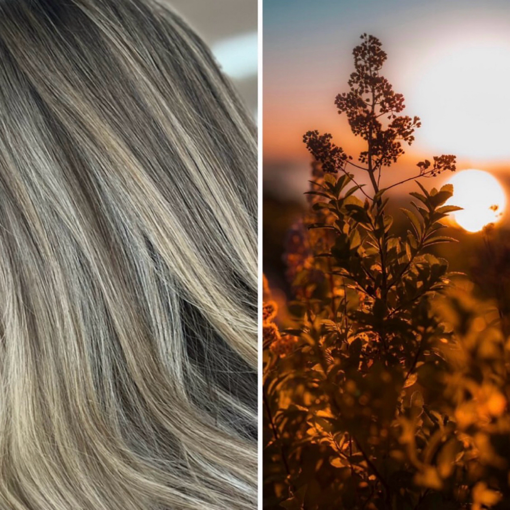 Partial Dimensional Blonding at Hair By Chelsey in Cleveland, TN